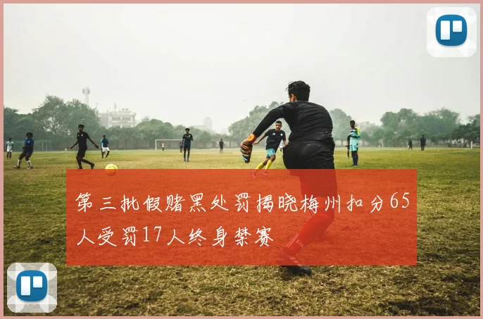 第三批假赌黑处罚揭晓梅州扣分65人受罚17人终身禁赛