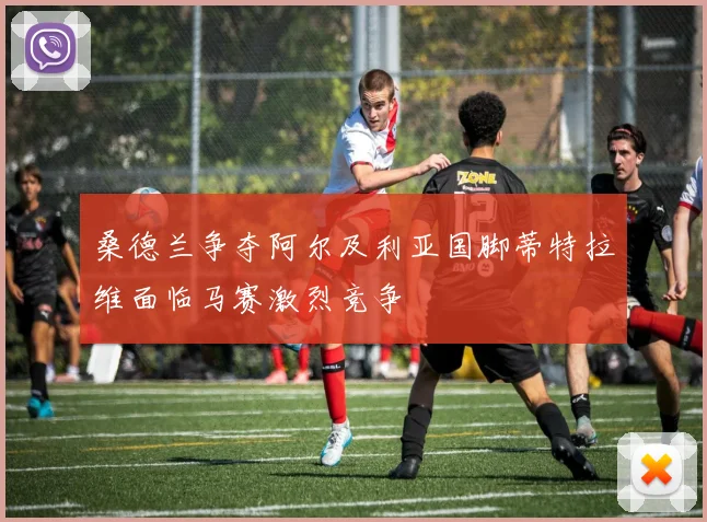 桑德兰争夺阿尔及利亚国脚蒂特拉维面临马赛激烈竞争