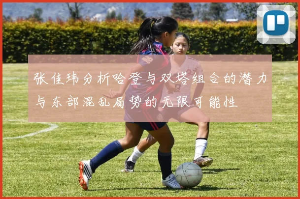 张佳玮分析哈登与双塔组合的潜力与东部混乱局势的无限可能性